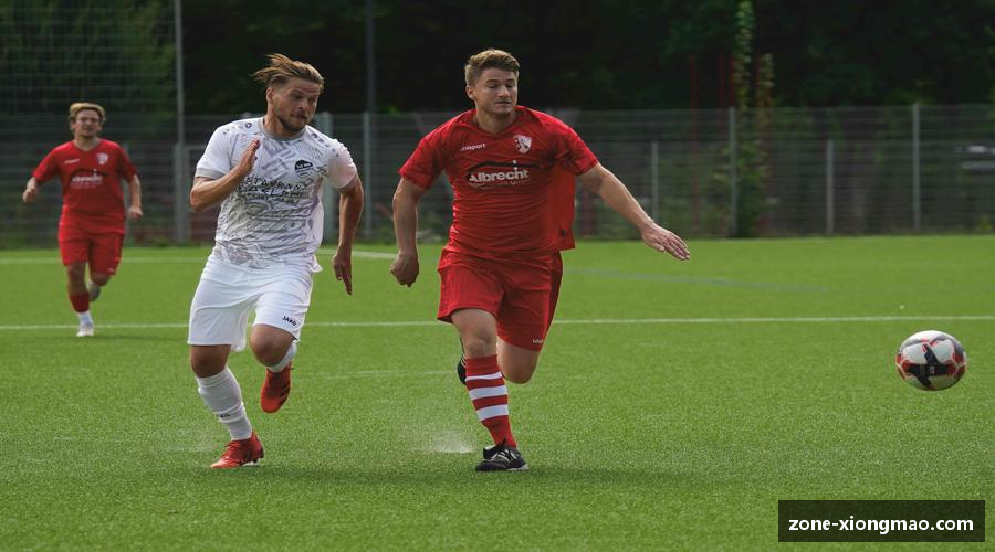 探索熊猫体育注册登录